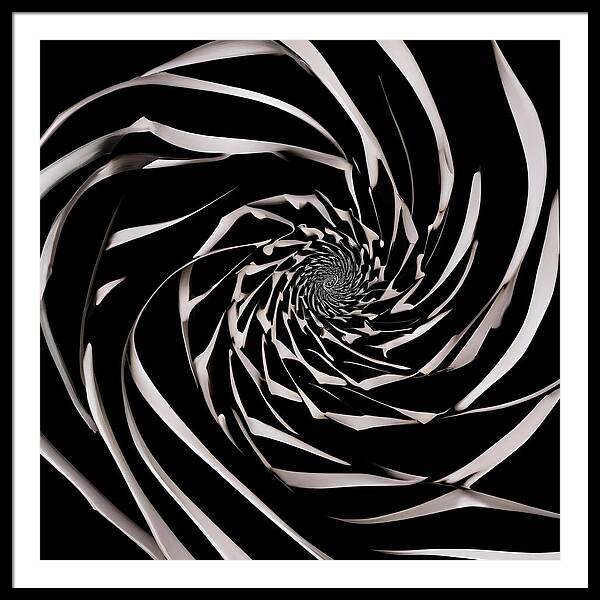 The Vortex - Framed Print