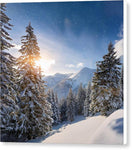 Switch Whispering Pines - Canvas Print 3 image