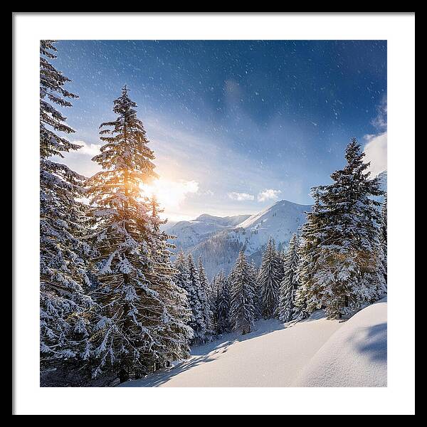 Whispering Pines - Framed Print