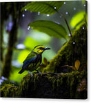 featured