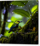 featured