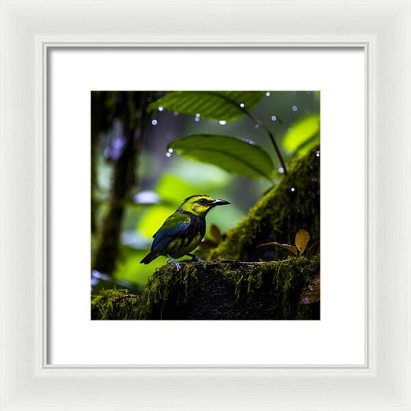Whispers of Rain - Framed Print