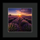 Switch Lavender Fields - Framed Print 2 image